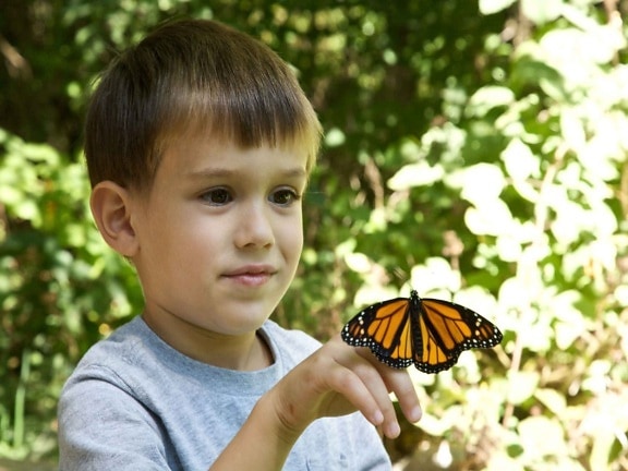 child, boy, face, butterfly