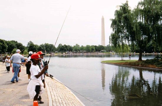 children, fishing, lake, arranged, fishing, city