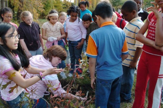 children, instructions, teacher, plant, trees, schooyard