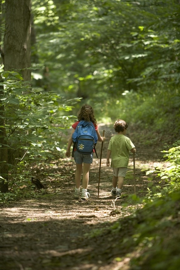 children, hiking, forest