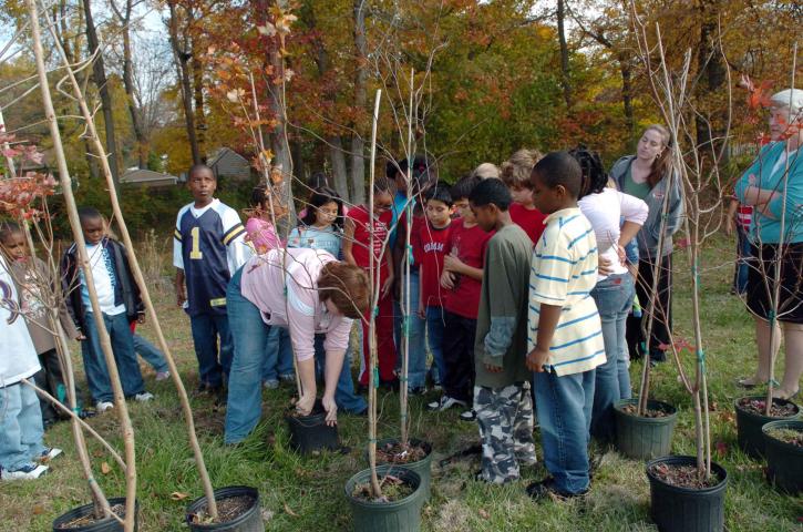 children, learn, young, trees, buckets, planting