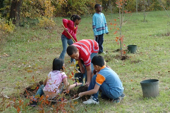 Kinder, bereiten, Pflanze, Bäume