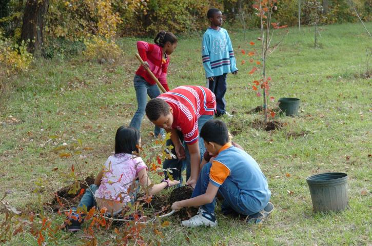 děti, připravit, rostliny, stromy