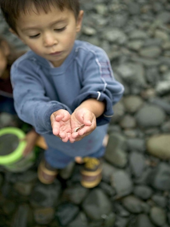 up-close, young boy enjoying, day, fishing, boy, holding, minnow, fish