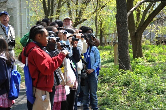 kids, students, birdwatching