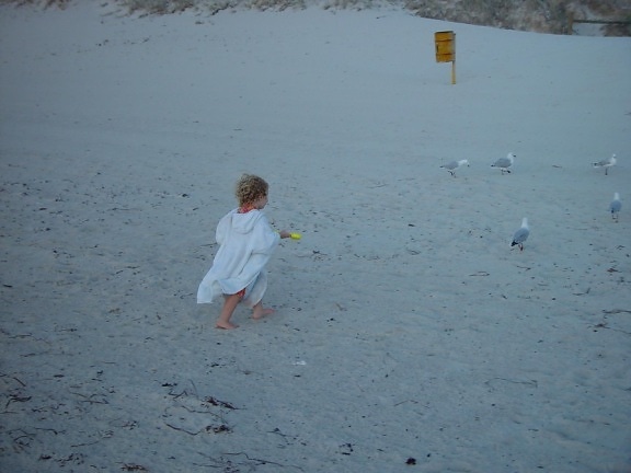 little, girl, beach