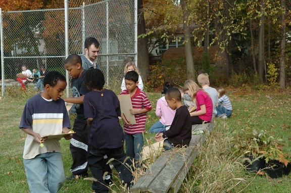 estudiantes, aprender, patio de la escuela, los hábitats