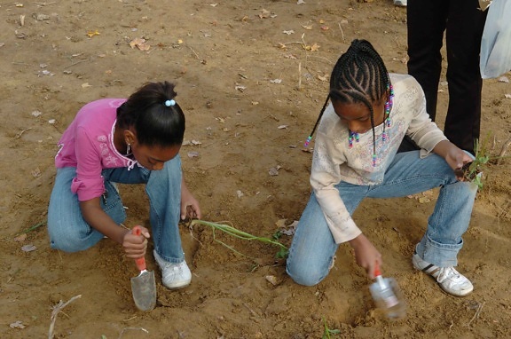 two, Afro American, girls, play, digging, ground