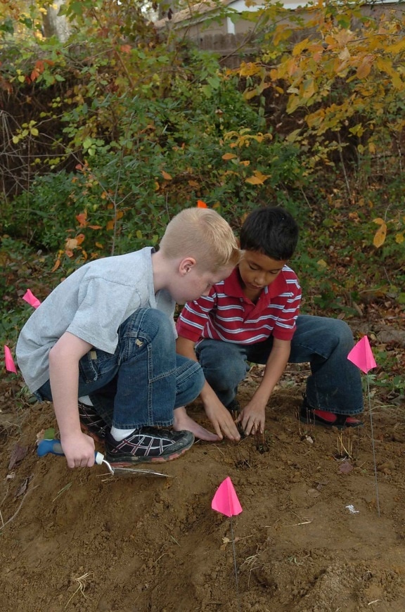two boys, play, digging, ground