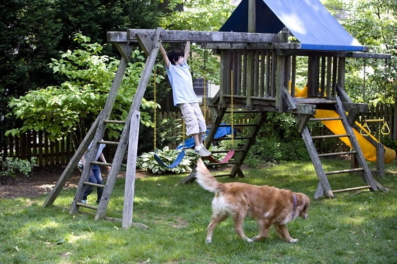 two, children enjoying, wooden, swing, set