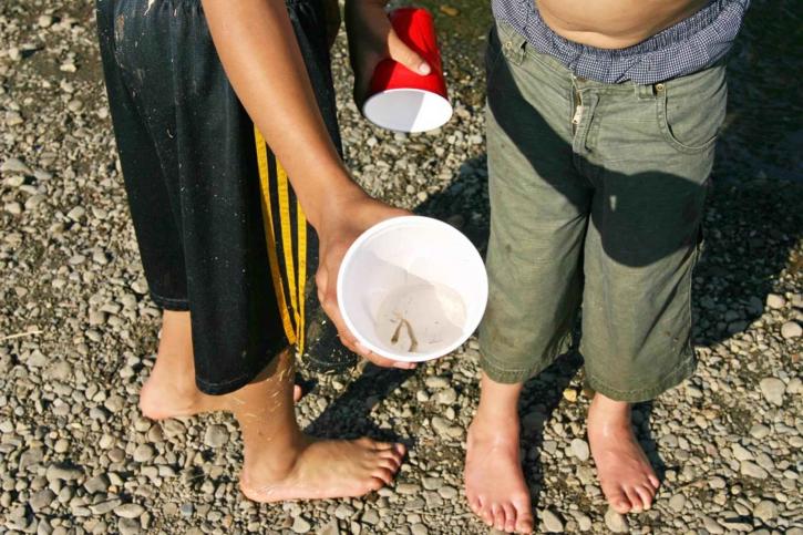 two, children, show, minnows, cup