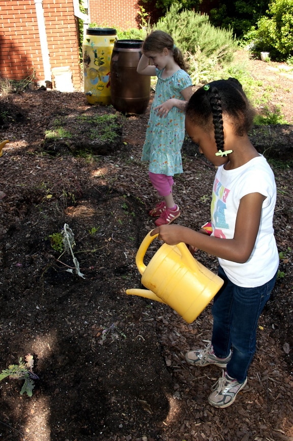 млад, африкански американец, училище момиче, поливане, засаждат цветя