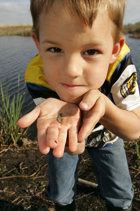 young boy, holds, small, fish