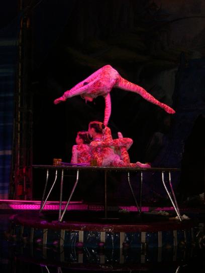 Circus, pemain, contortionists
