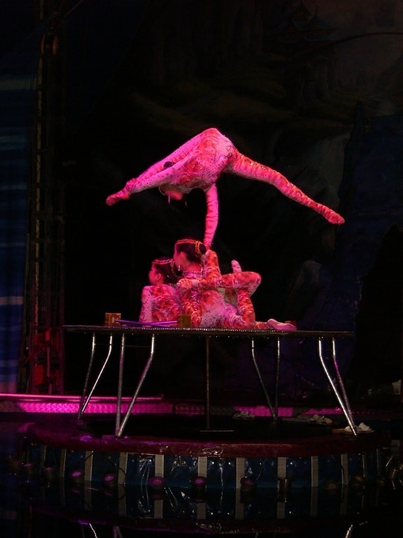 cirque, interprètes, contorsionnistes