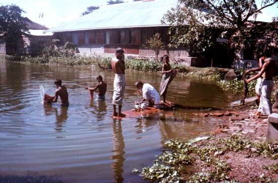 Bangladeshi, men, boys, bathing, Patuakhali, town, communal, bathing, tank
