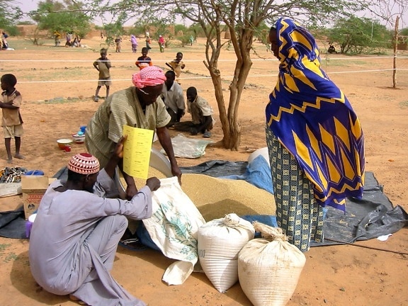 farmers, Niger, negotiate, seed, prices, vendors, seed, fair, central, Zinder, district