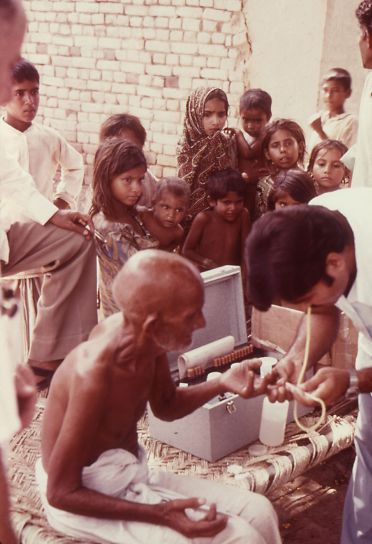 miestne, pakistanskými, muž, krv, testované, 1977, malation, jed, štúdia