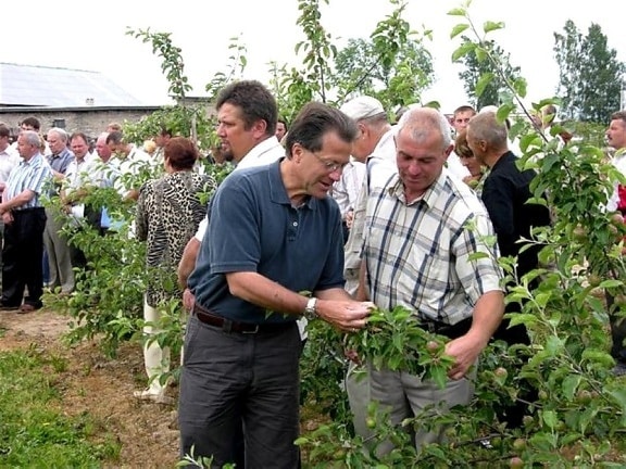 mannen, introducerar, integrerad, pest, management, medlemmar, Grodno, Vitryssland, frukt, odlare, grupp
