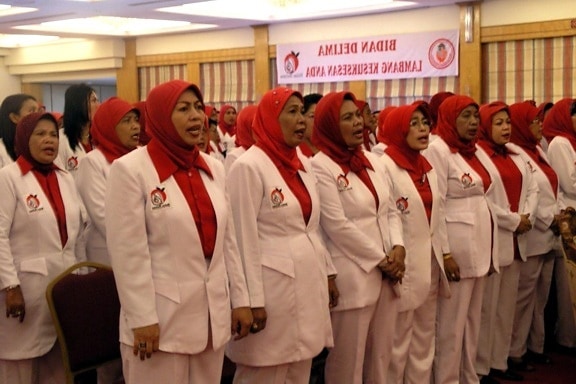 certifiés, sages-femmes, préparer, entrer, privé, pratique, Sulawesi, Indonésie