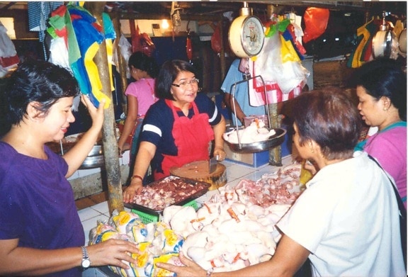 สาธารณะ ตลาด ฟิลิปปินส์ รักษา ล้าง ติดตั้ง ใต้ดิน ขยะ น้ำ พืช
