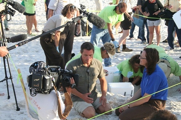 television, crew, shooting, movie, turtle, nest, excavation, relocation