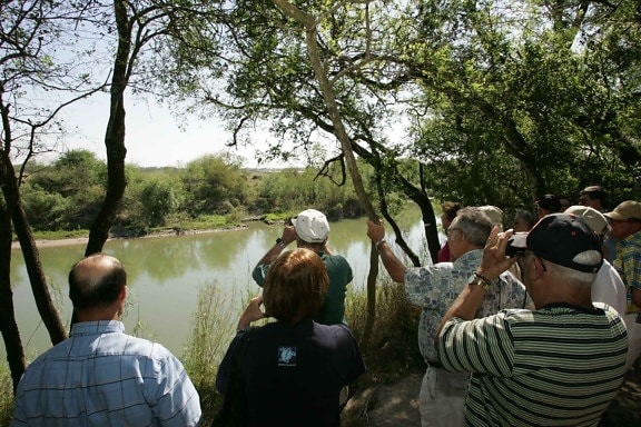 visitors, enjoy, pleasures, wildlife, viewing, banks, river