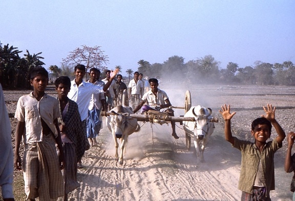 caminando, bengalí, hombres, niños, país, Bangladesh