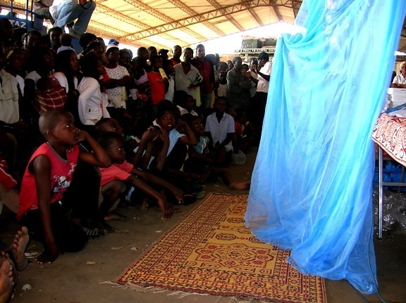 jovem, meninos, aldeia, Moçambique, observar, tempo, duração, inseticida, tratados, cama, rede, demonstração