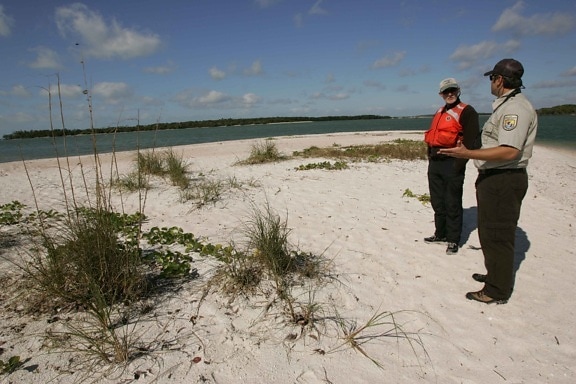 employee, white sand, beach, vegetation, speaking, visitor, orange, safety, vest