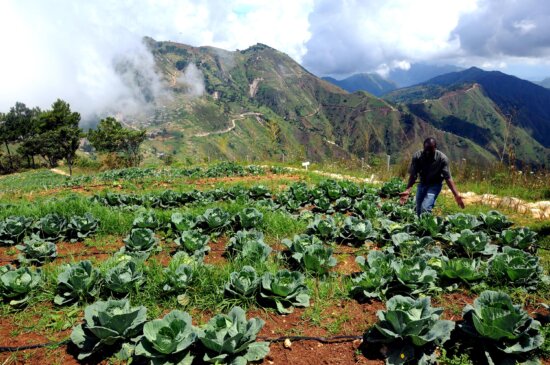 farmers, agricultural, training, program, Haiti