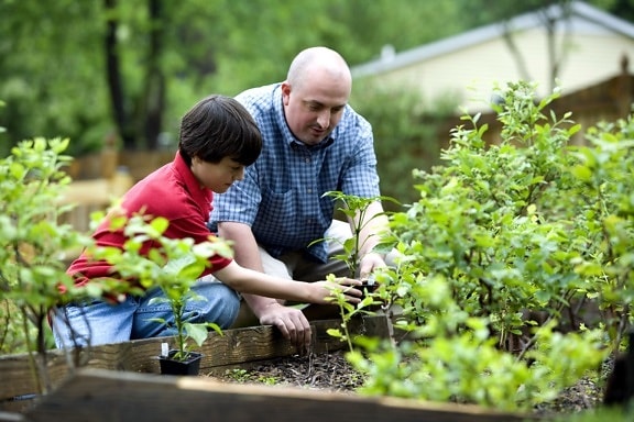 father, son, outdoor, activity, home, grown, food