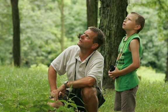 father, son, enjoy, leisurely, noon, birdwatching