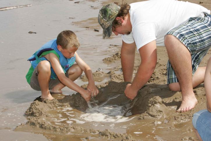 Pai, filho, jogar, praia, fazer, areia, castelo