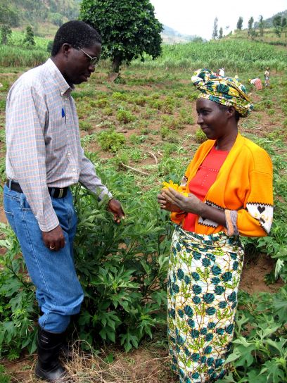 kvinna, bonde, Rwanda, optimistisk, sälja, olja, växter