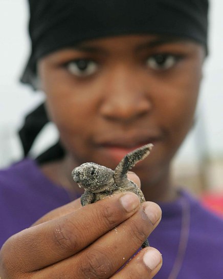 Afro American girl, up-close, baby, onechte, schildpad