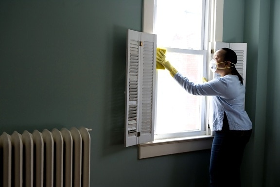 women, cleaning, window, particulates, dust, pollen, home
