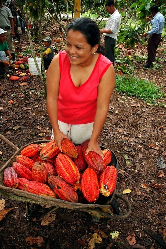 Amazonia, chocolate, Ecuador, women, cocoa beans, chocolate