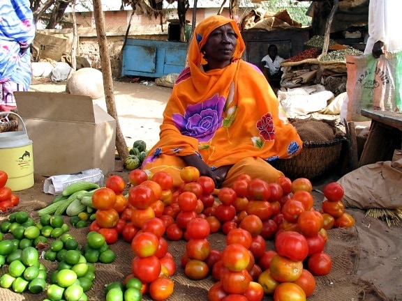femenino, mercado, vendedor, mercado, Sudán