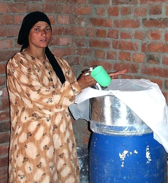 женски, мляко, фермер, Египет