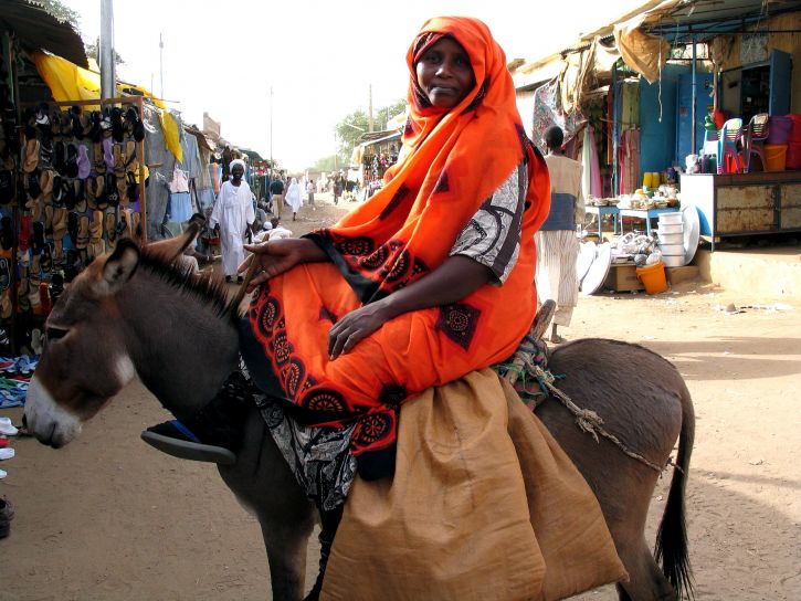 femelle, âne, marché, Soudan