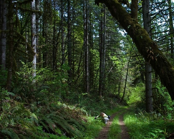 female, trail, wild, green, forest