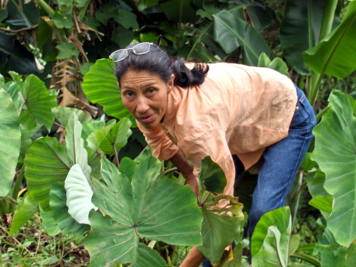 vrouwelijke, landelijke, landbouwer, Nicaragua