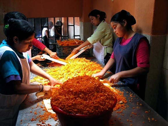 femmes, travailleurs, légumes, plantes, Guatemala