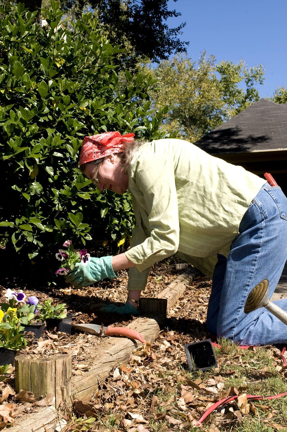 Free picture: gardening, female