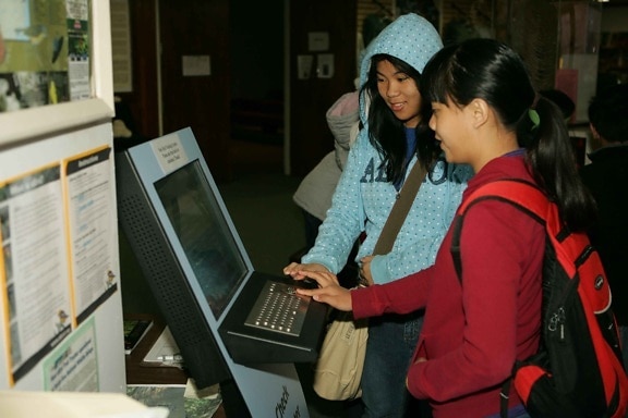 two, young, women, embracing, technology, enjoy, computer