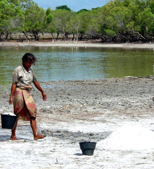 vrouw, Laga, lake, Oost-Timor, helpt, Gemeenschap, zout