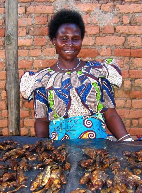 woman, Sudan, sells, smoked, fish, market, Sudan, receiving, microenterprise, loan