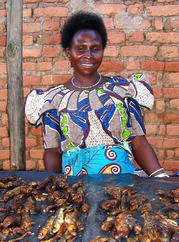 женщина, Судан, продает, копченая, рыба, рынка, Судан, получив, микропредприятий, кредит