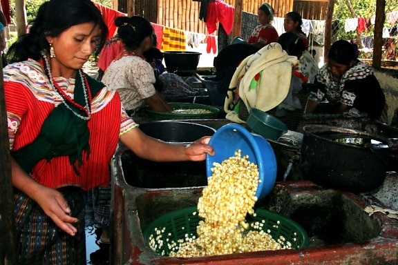 jeune femme, lavage, maïs, Joyabaj, Guatemala